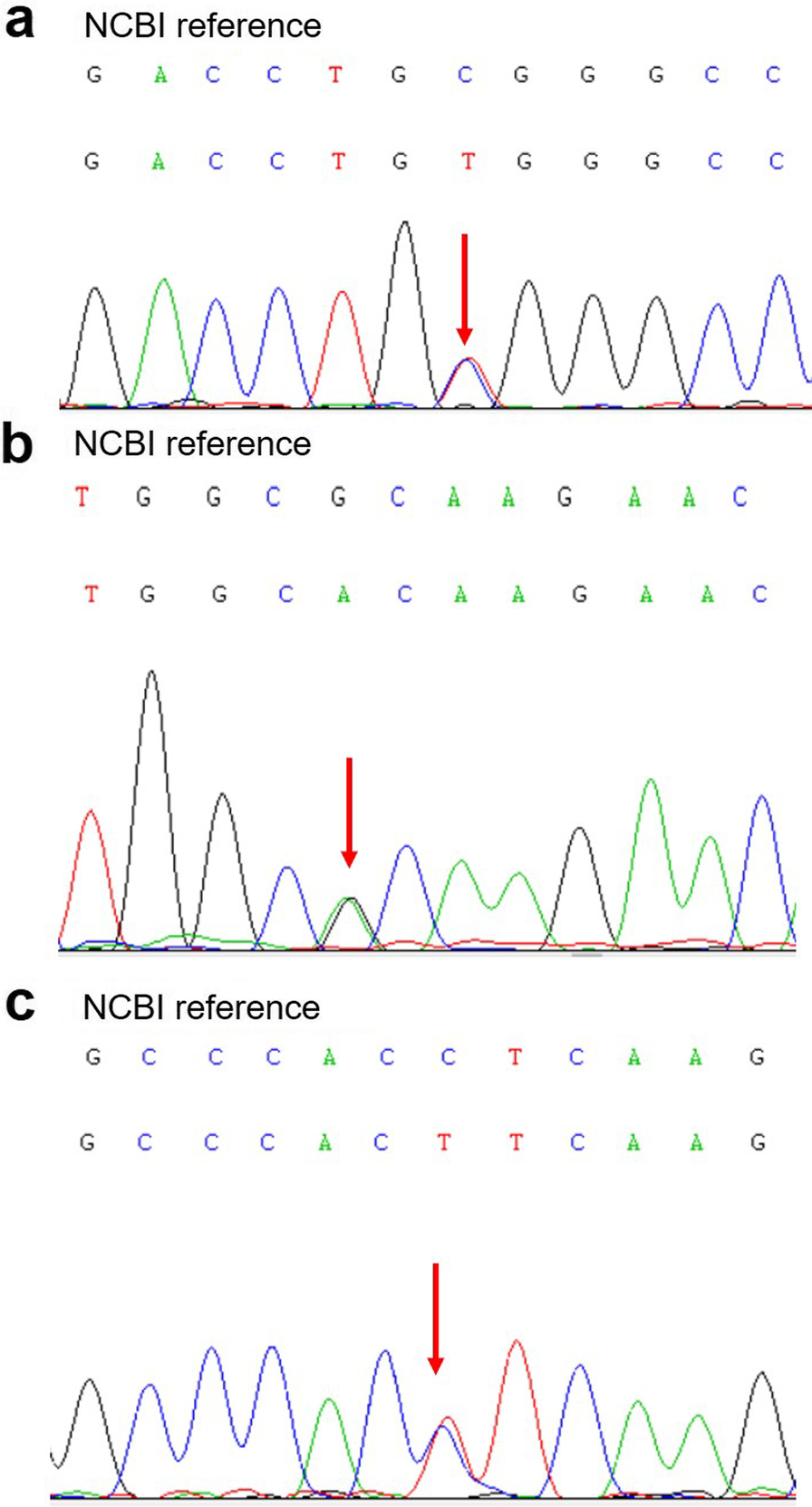 Fig. 3