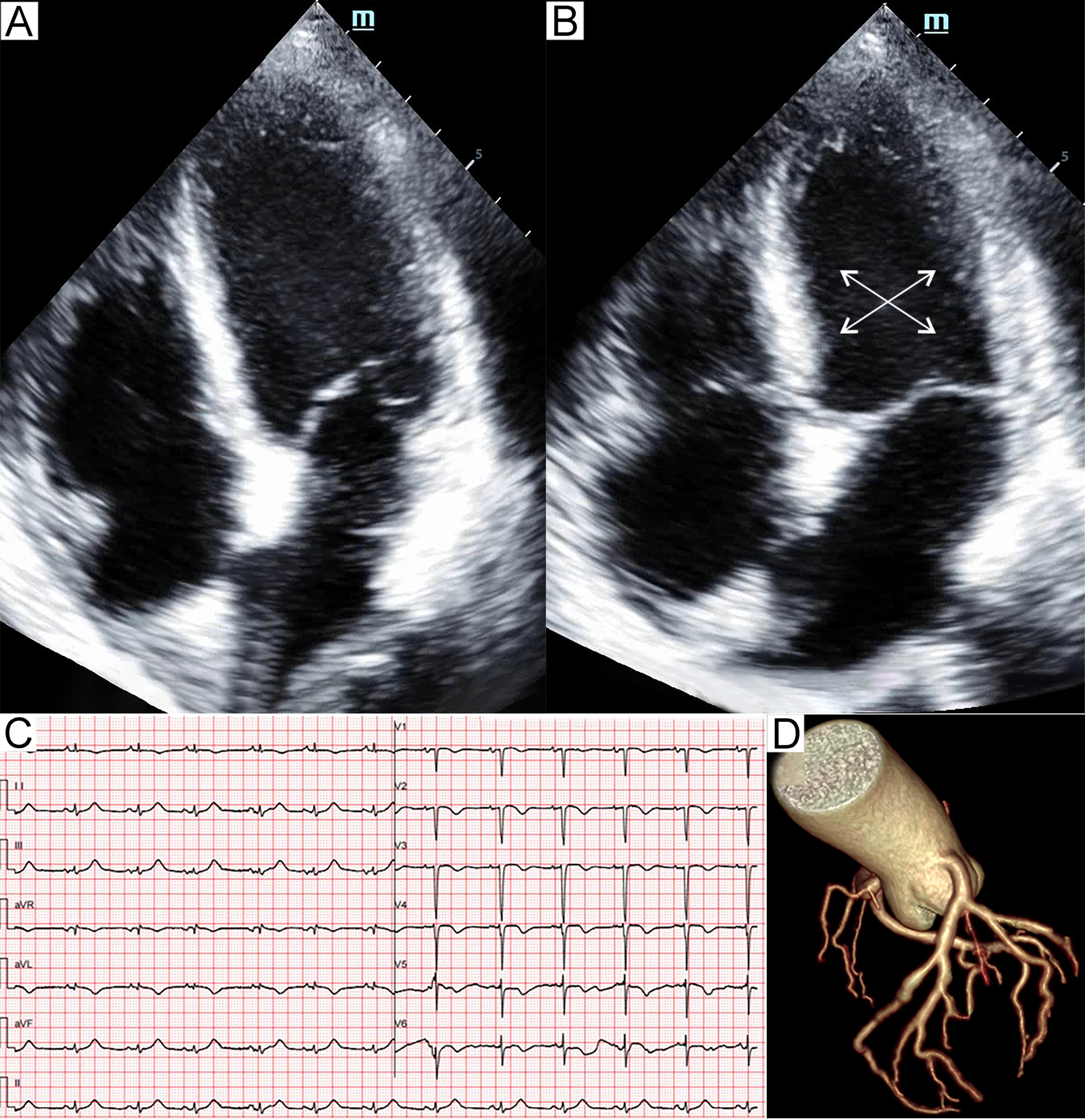 Fig. 5