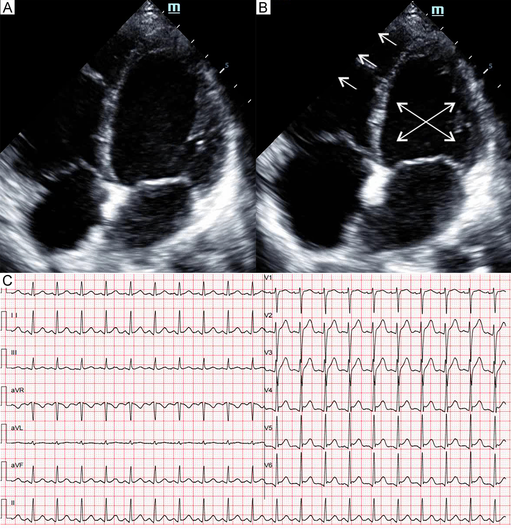 Fig. 7