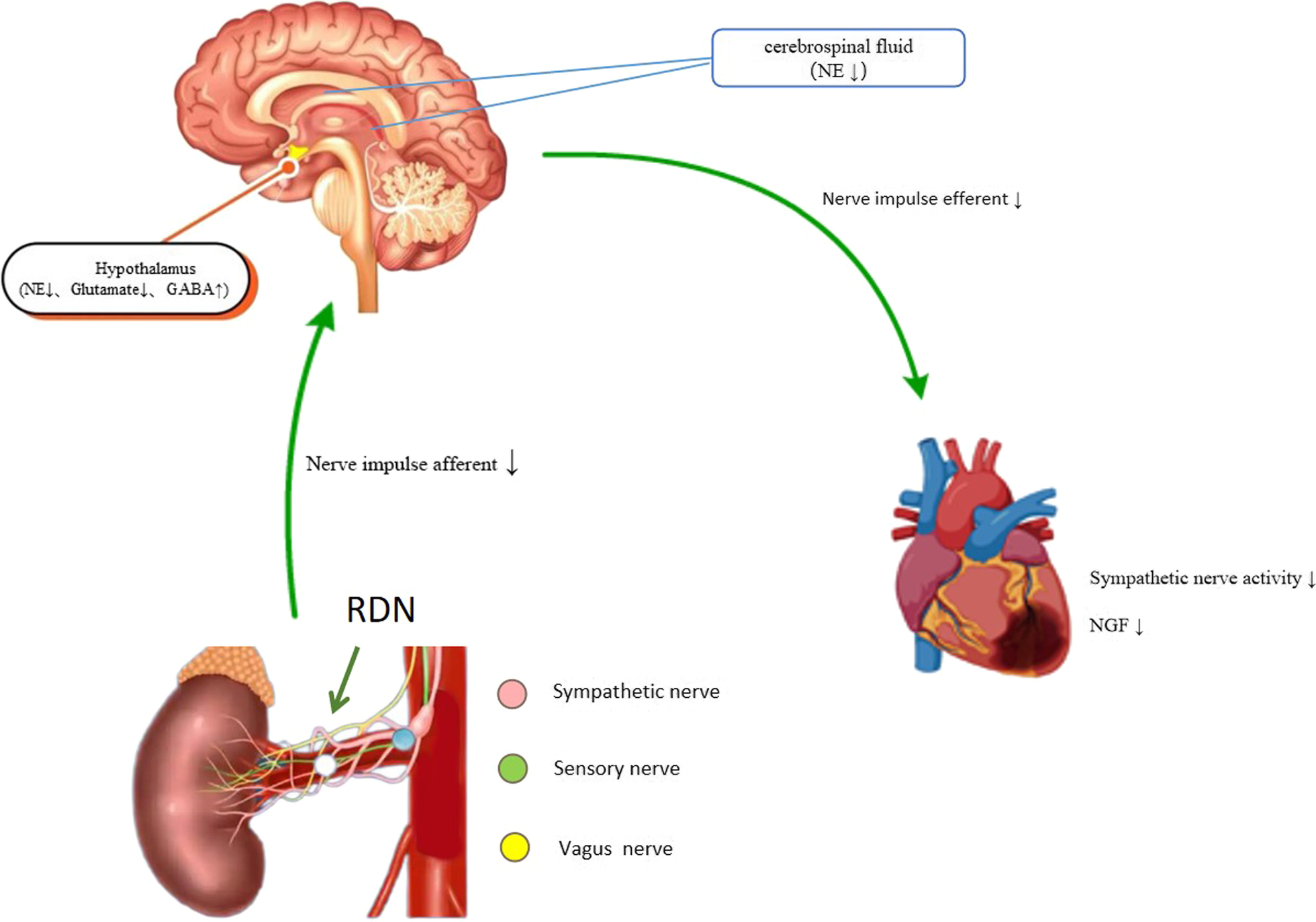 Fig. 7