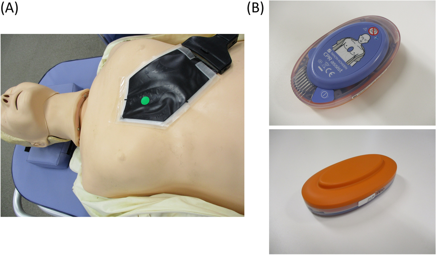 Fig. 1