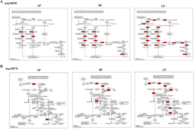 Fig. 3