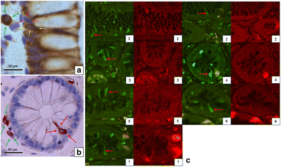 Fig. 3