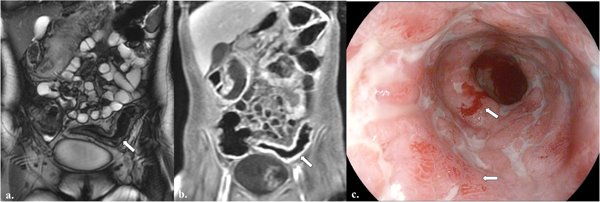 Fig. 5