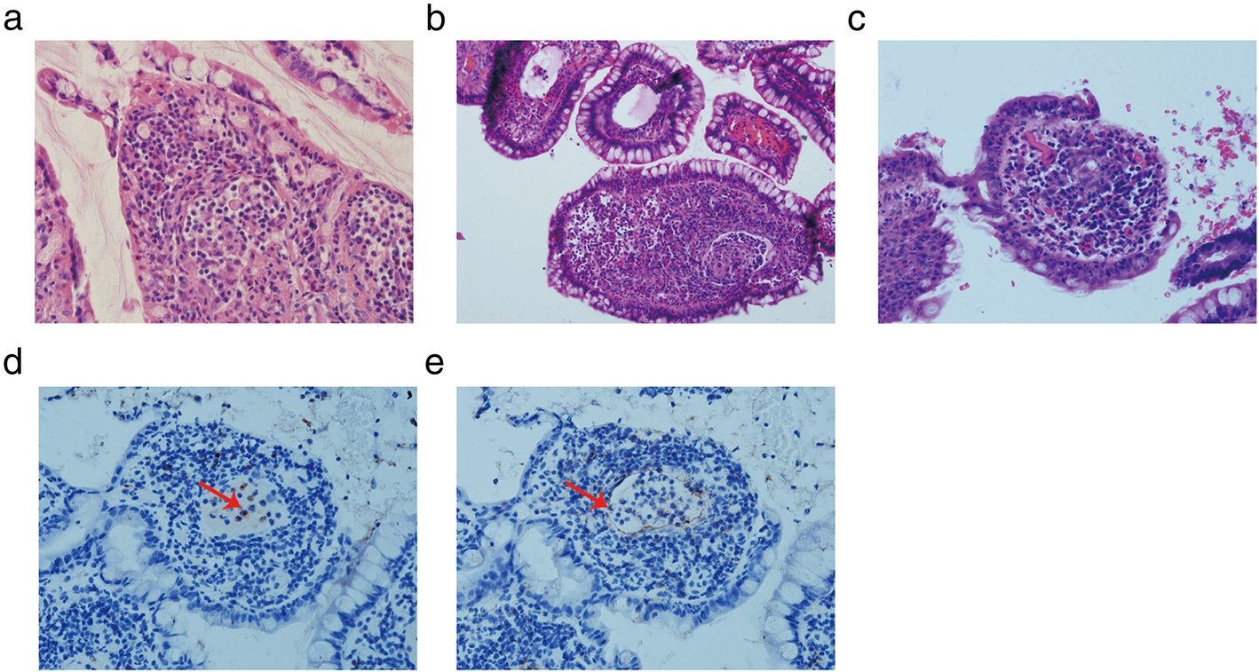 Fig. 2