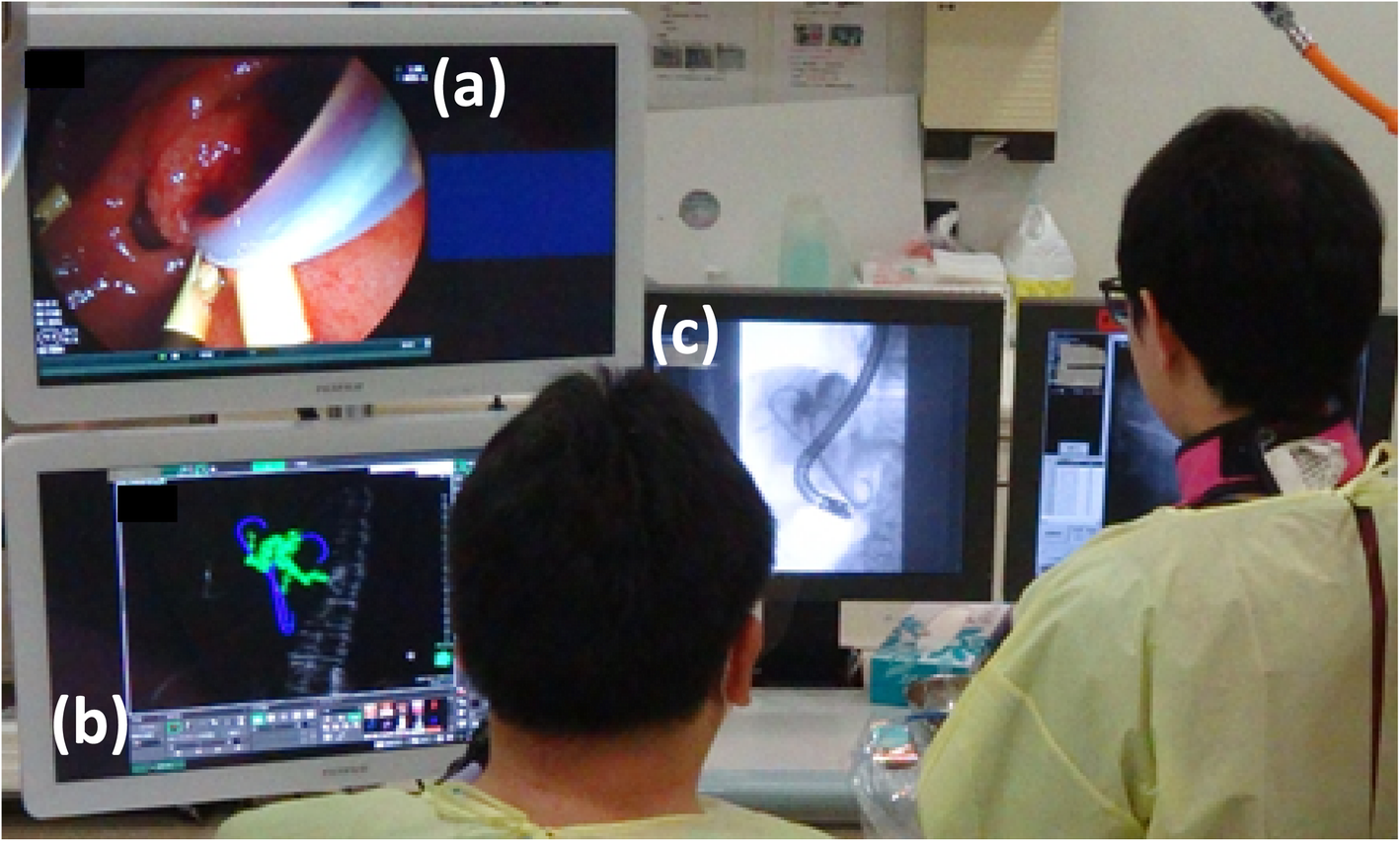 Fig. 4