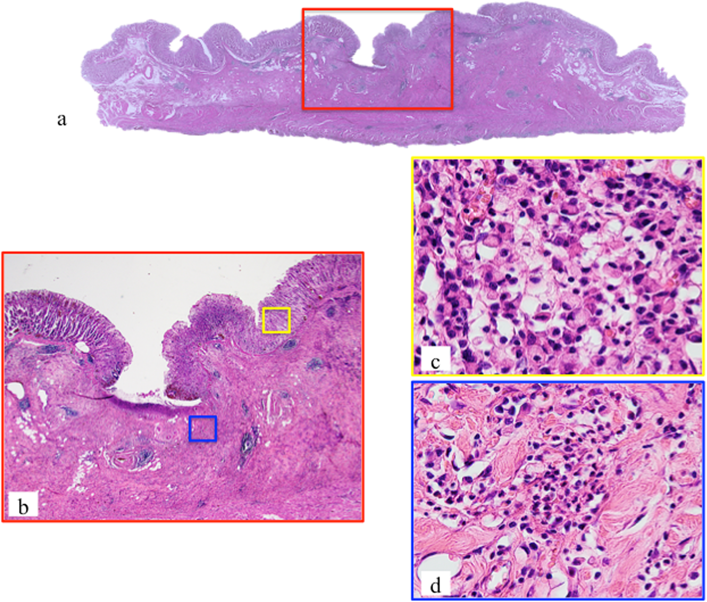 Fig. 3