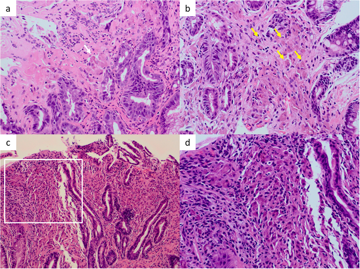 Fig. 4