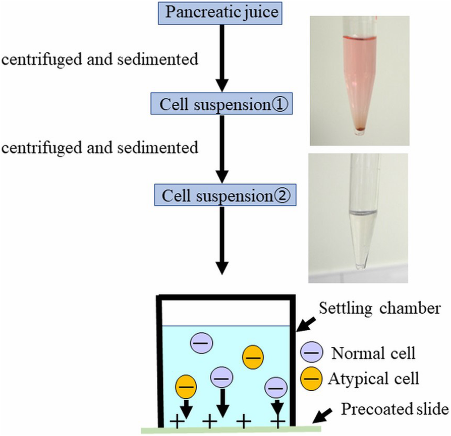 Fig. 2