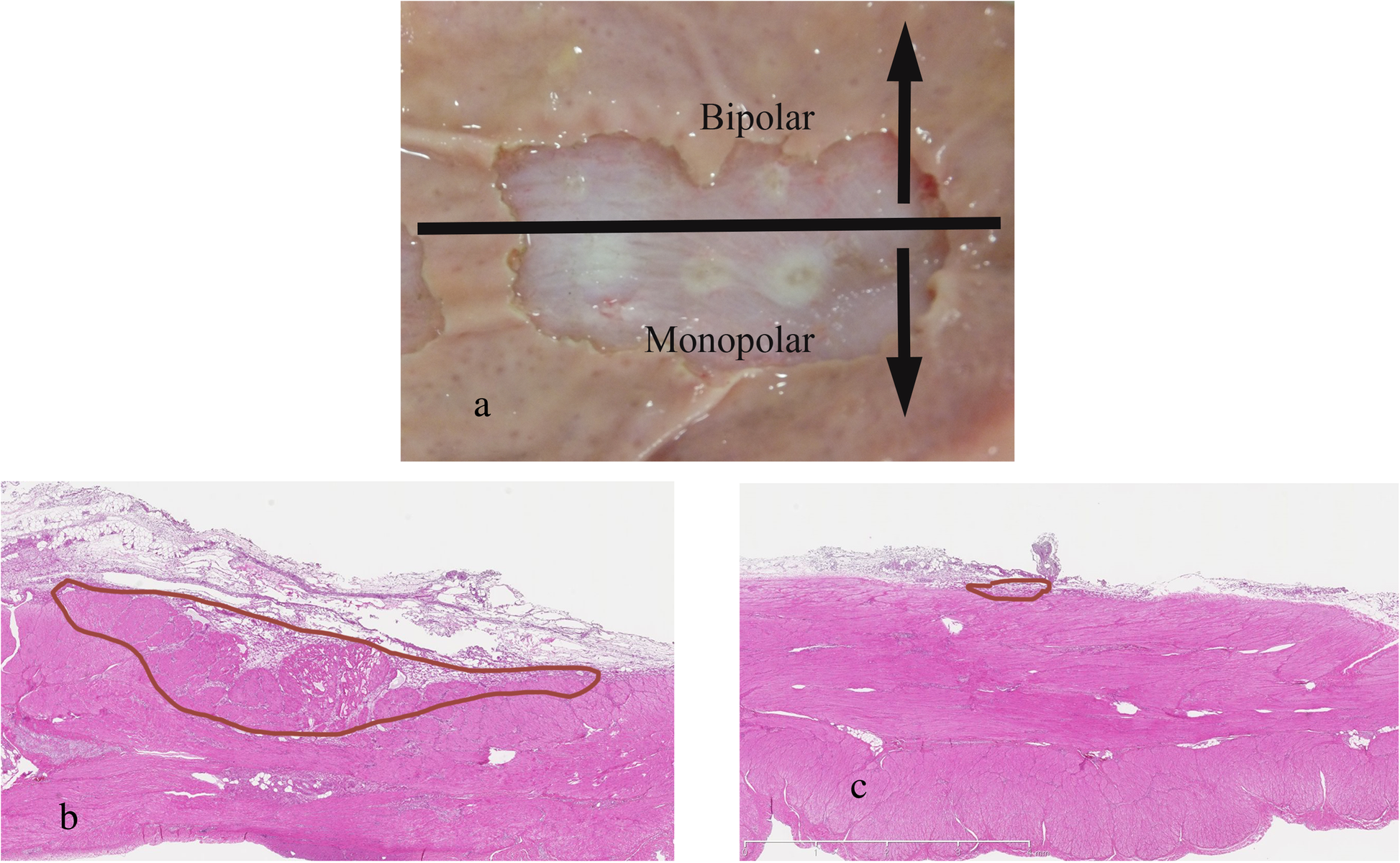 Fig. 4