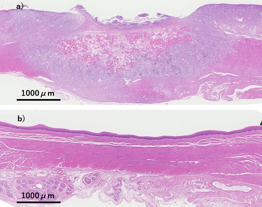 Fig. 4