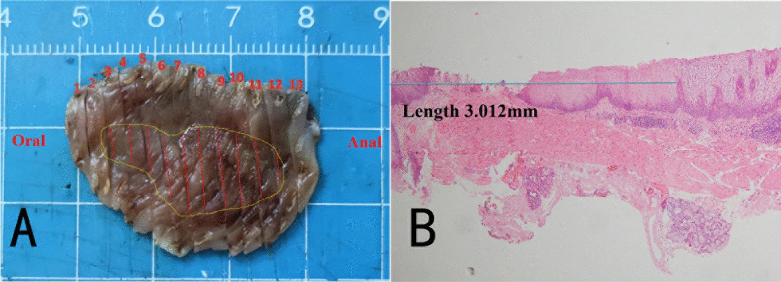 Fig. 3.