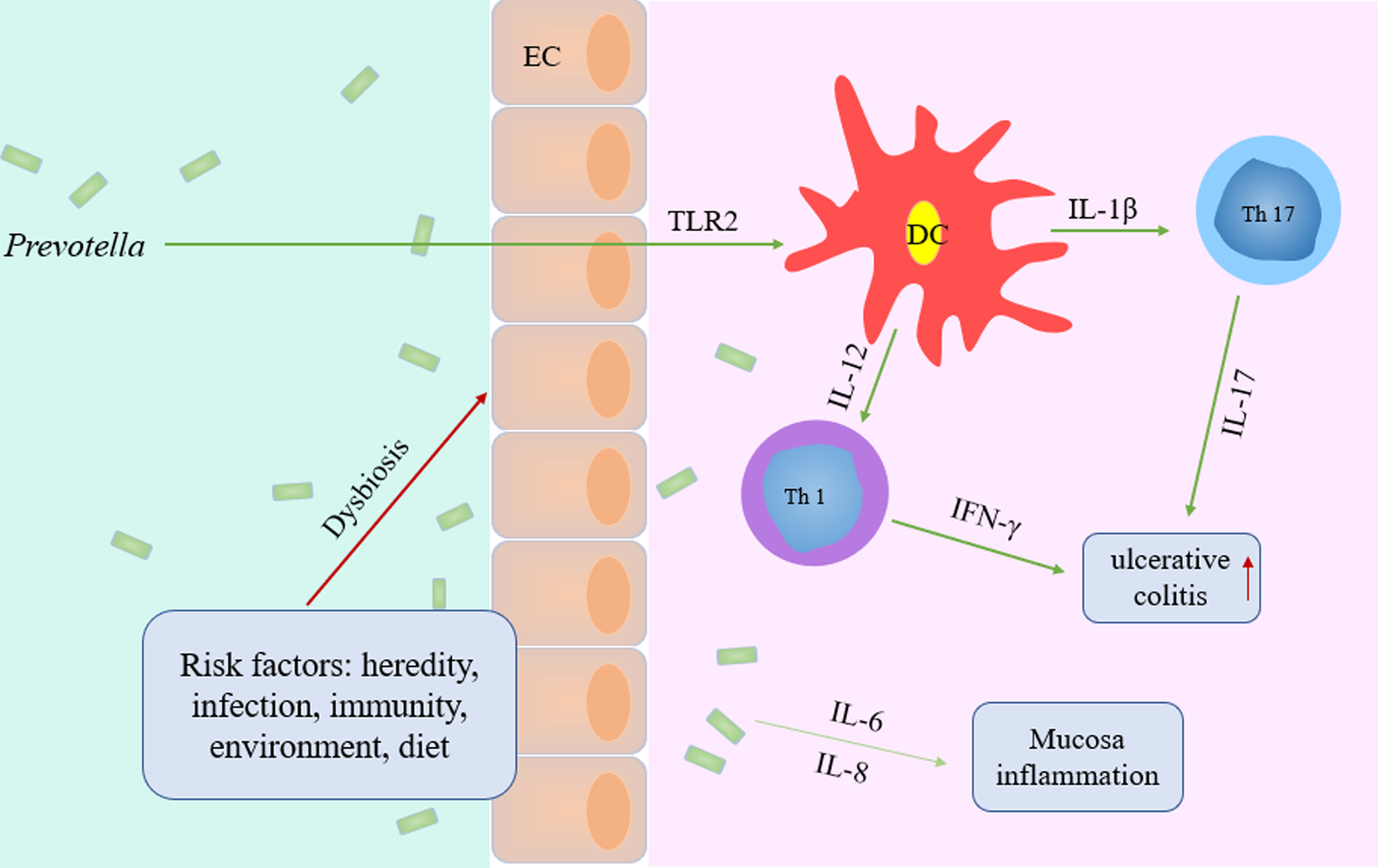 Fig. 11