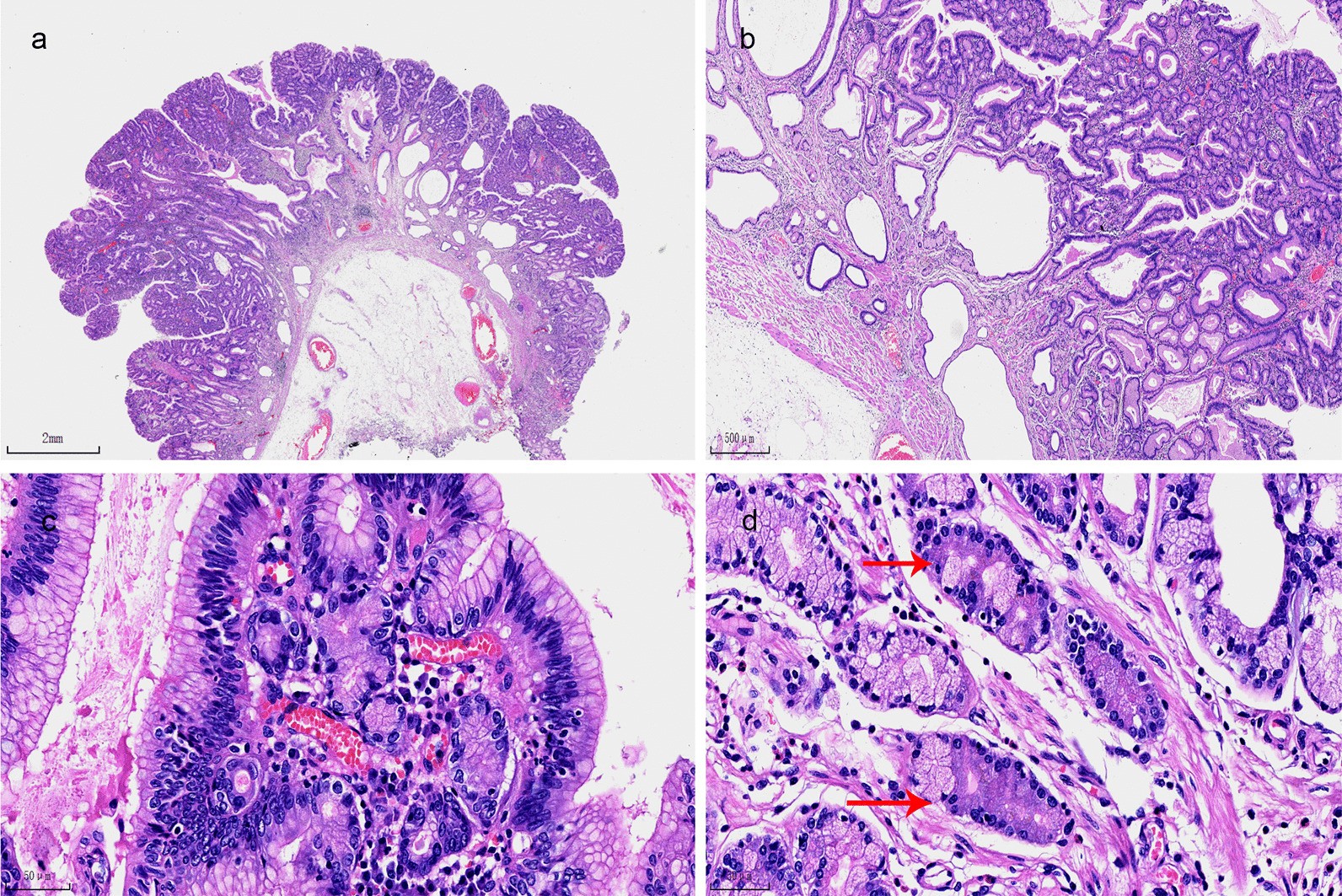 Fig. 2