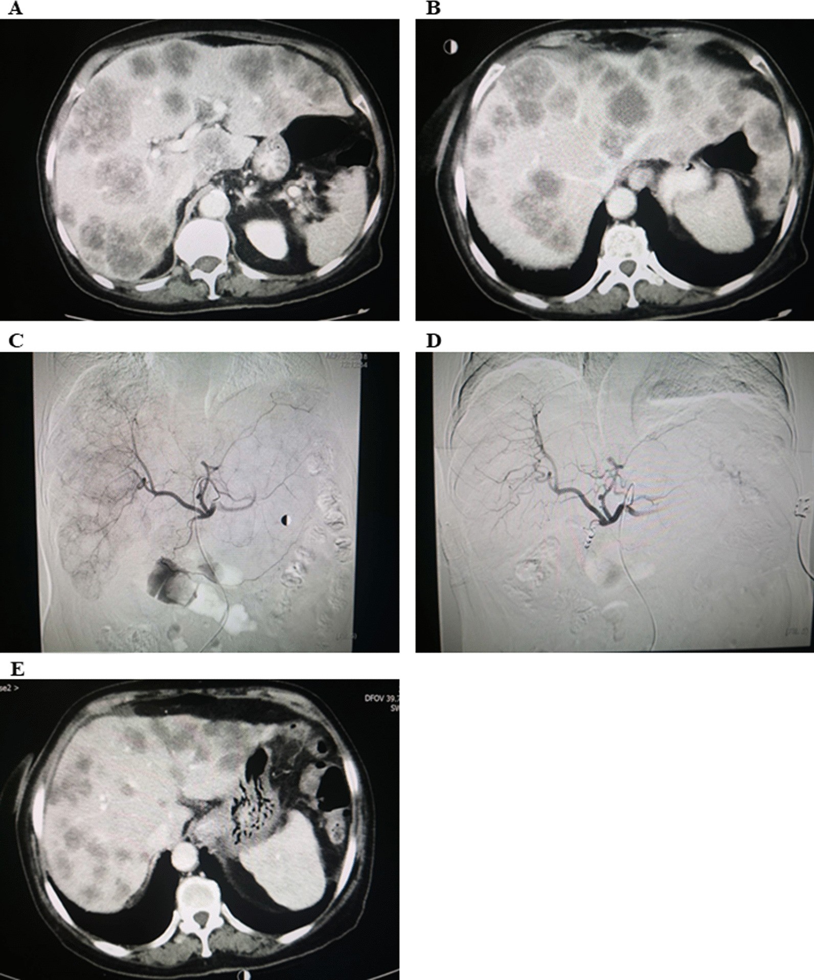 Fig. 5