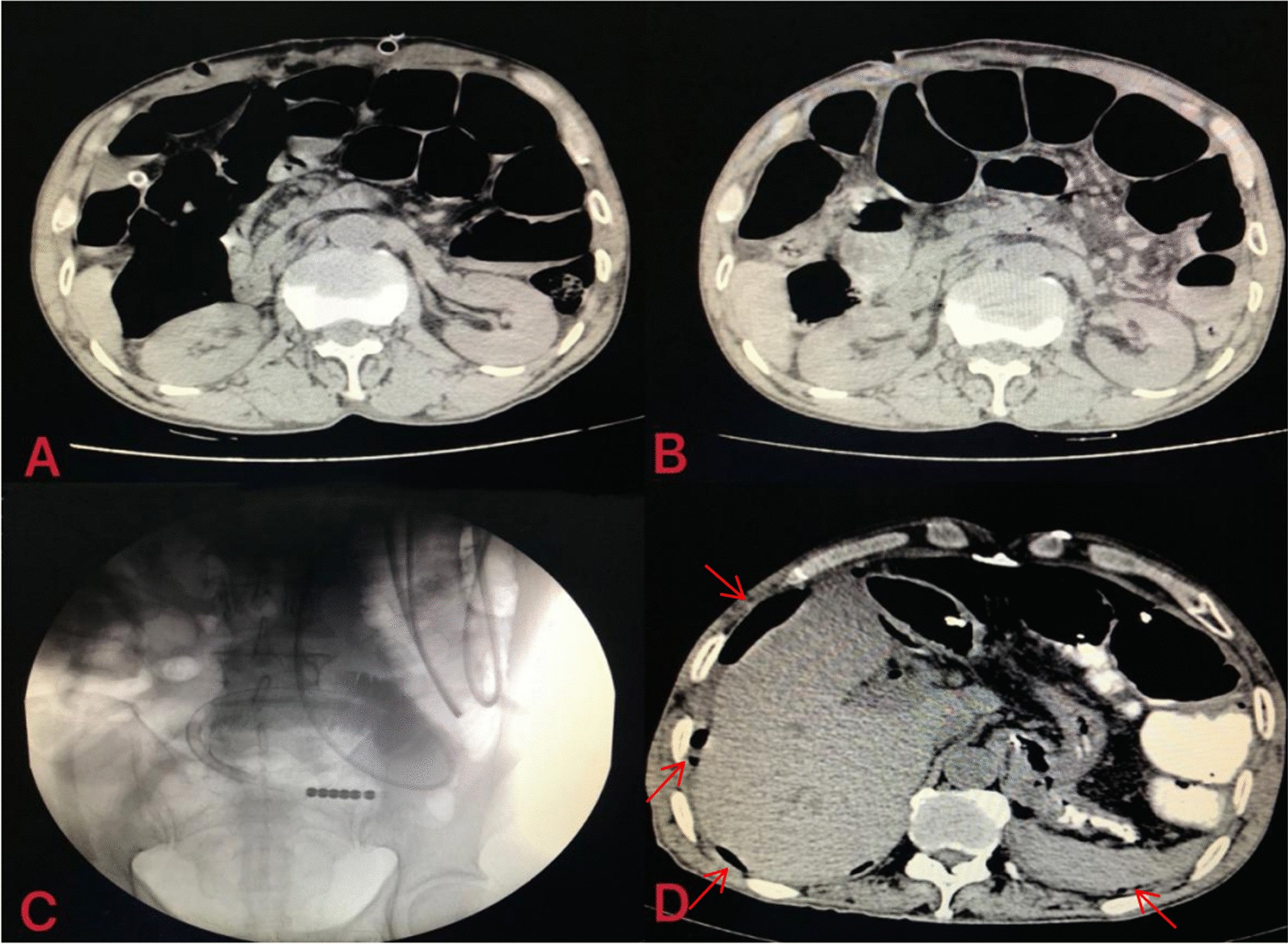 Fig. 6