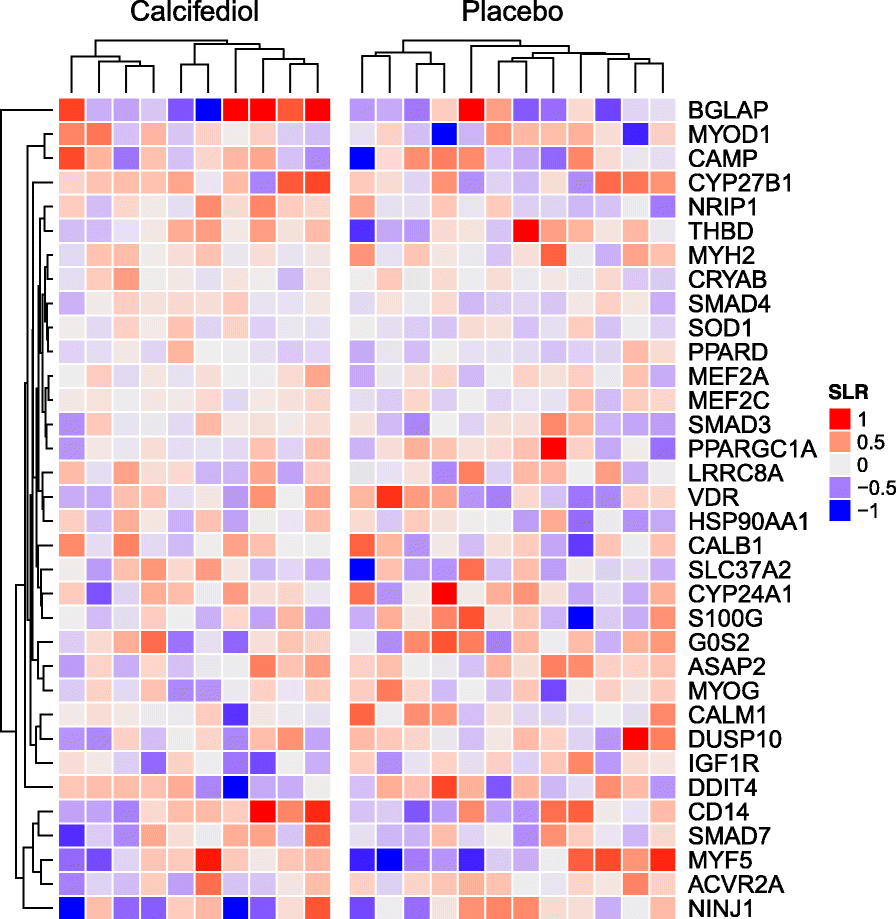 Fig. 5