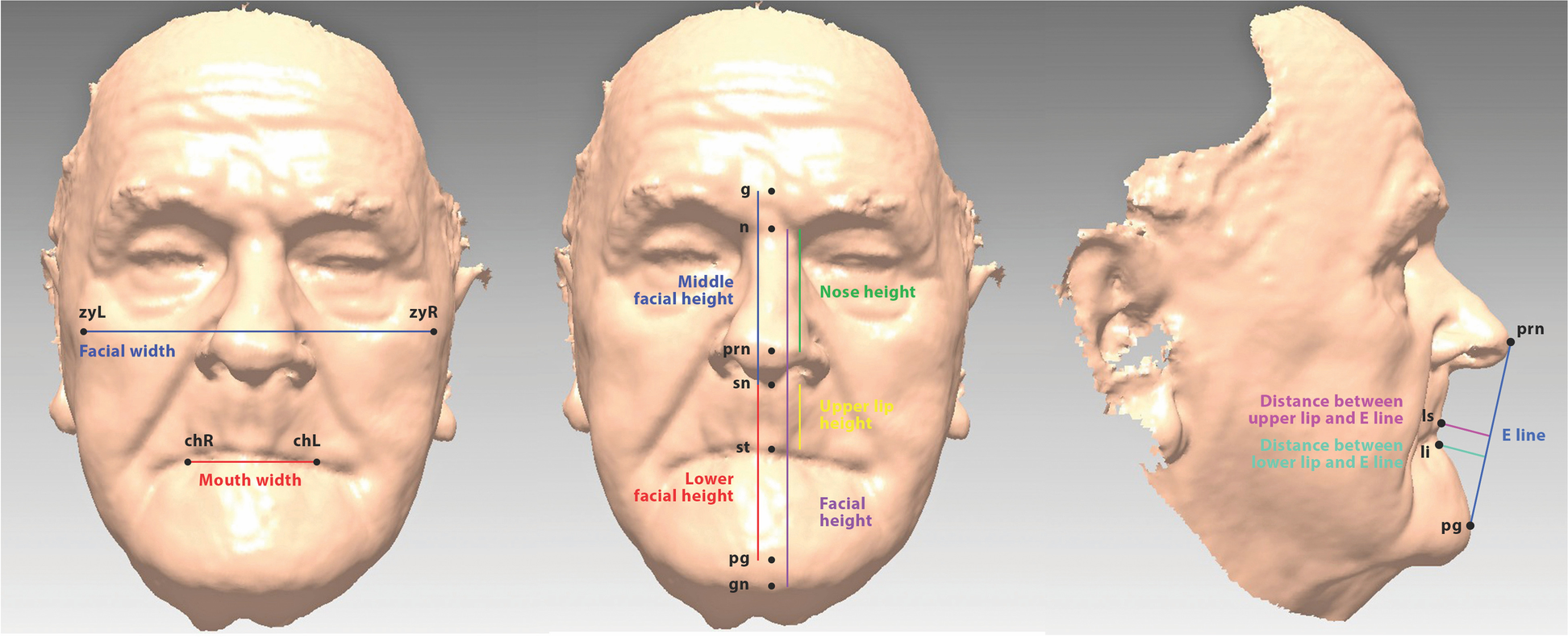 Fig. 3