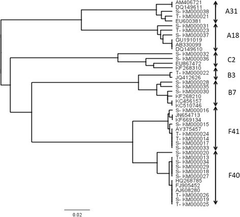 Figure 2