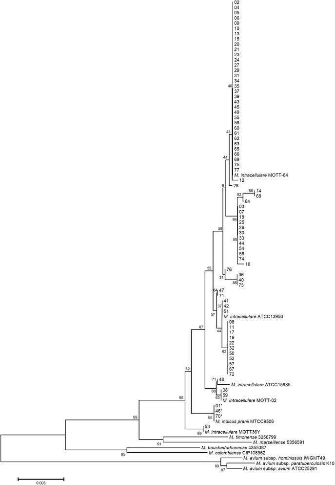 Fig. 3