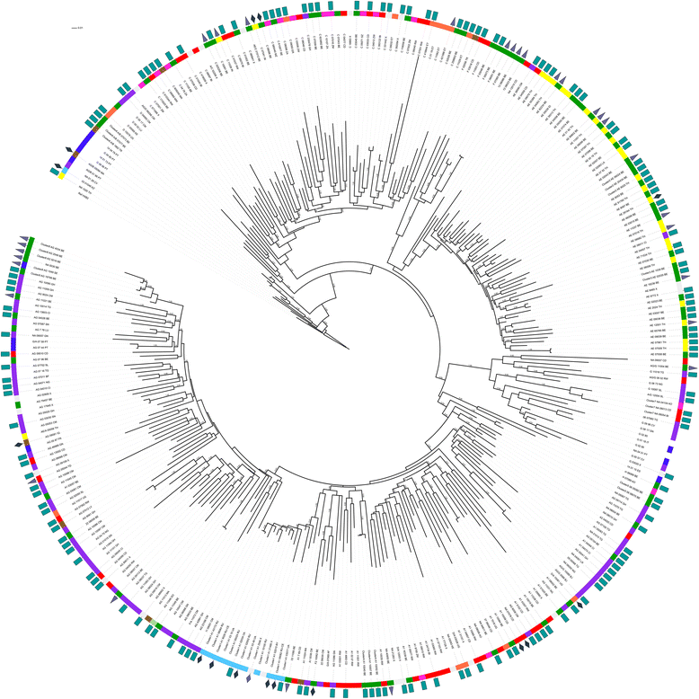 Fig. 2