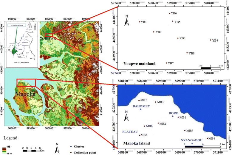 Fig. 1