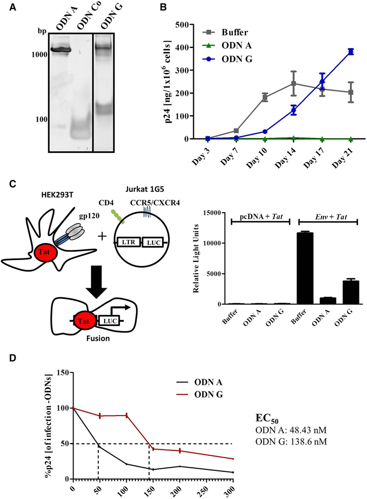 Fig. 5