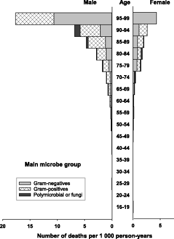 Fig. 5