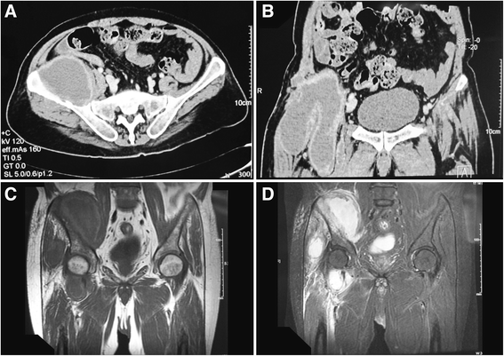 Fig. 5