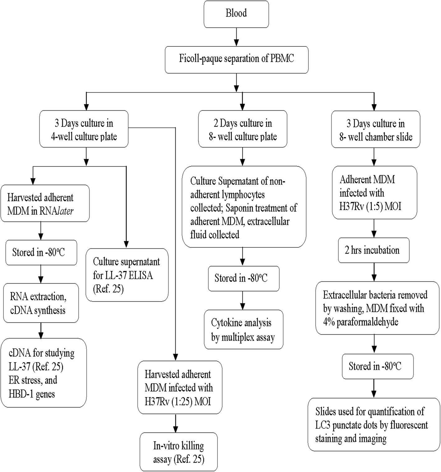 Immune responses in the treatment of drug-sensitive pulmonary tuberculosis with ...1418 x 1515