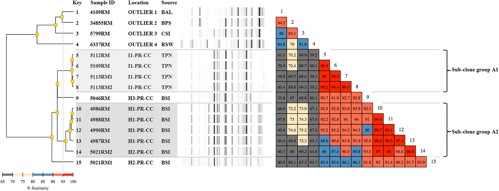 Fig. 2