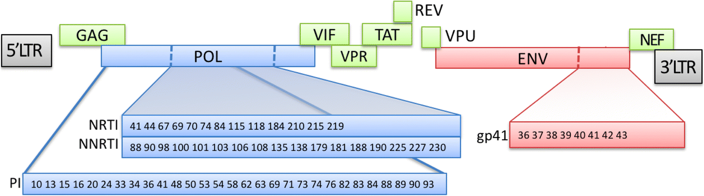 Fig. 6