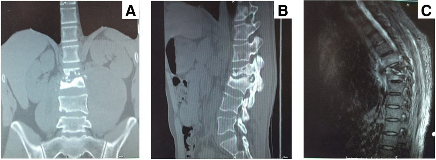 Fig. 5