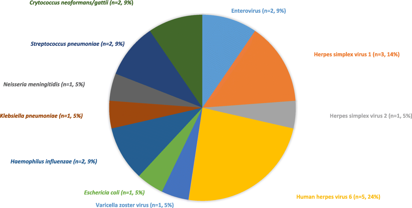 Csf Chart