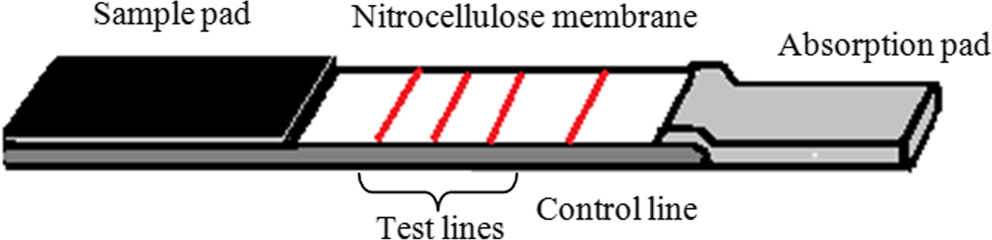 Fig. 2