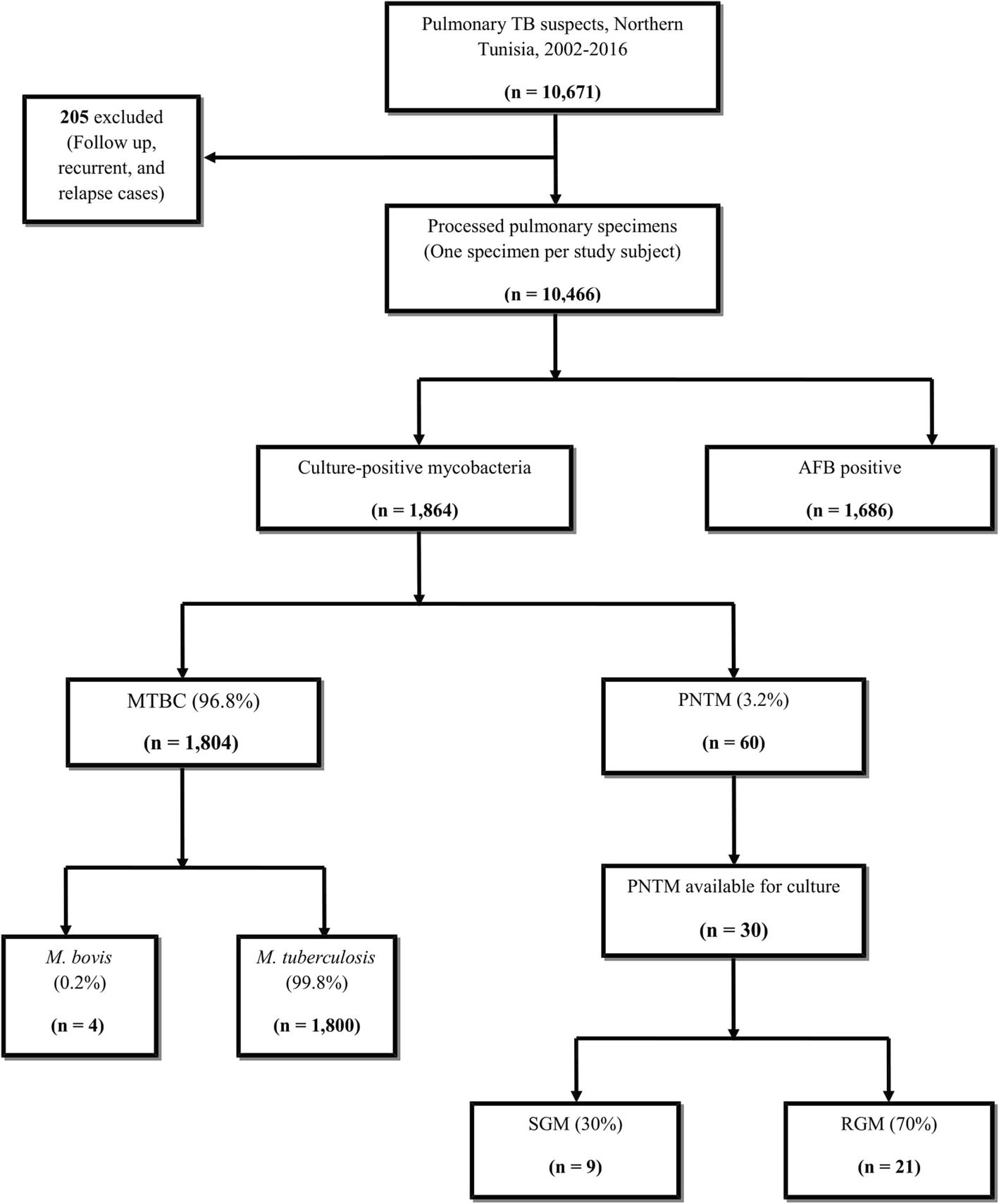 Pathophysiology Of Pulmonary Tuberculosis In Flow Chart