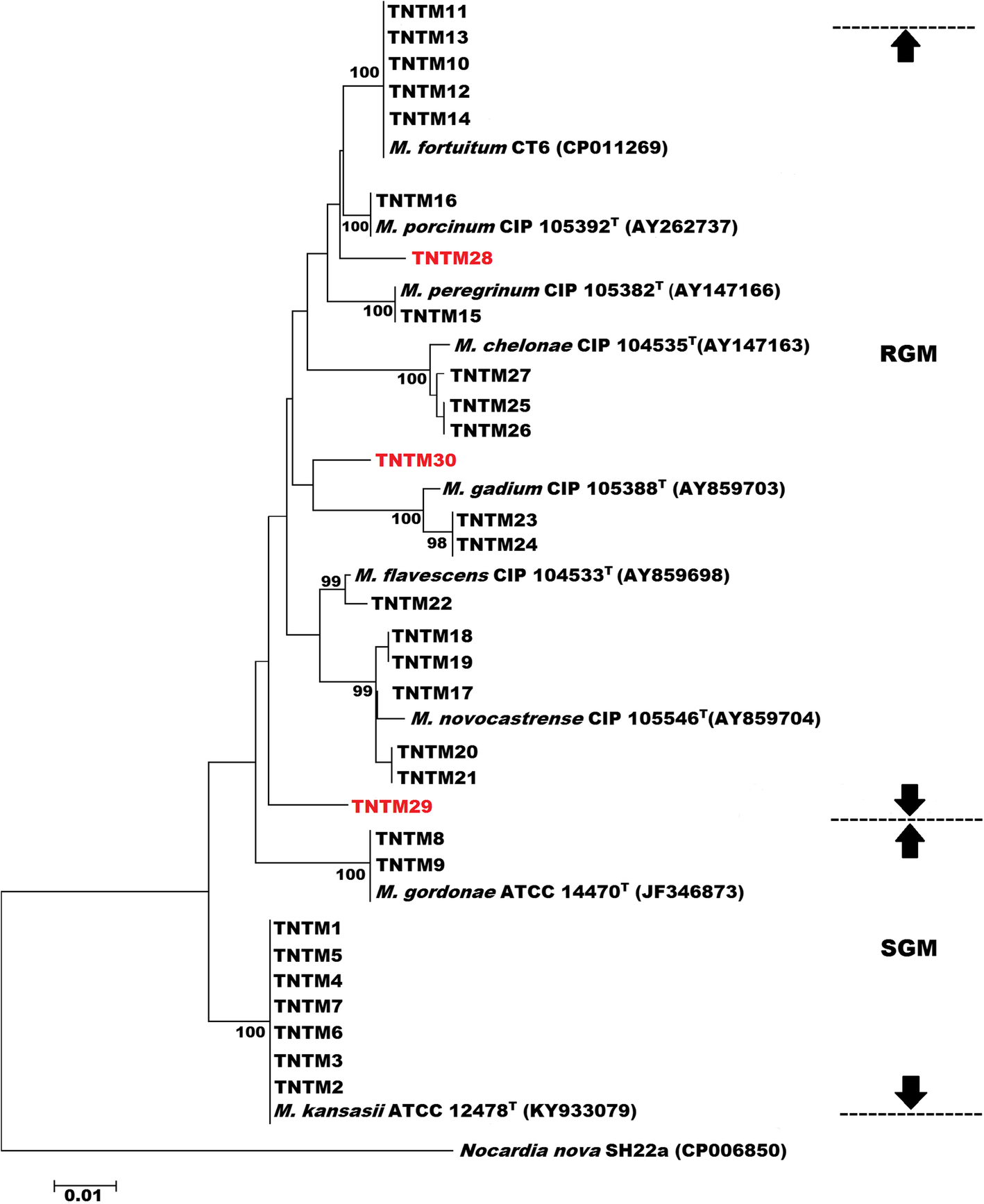 Fig. 3