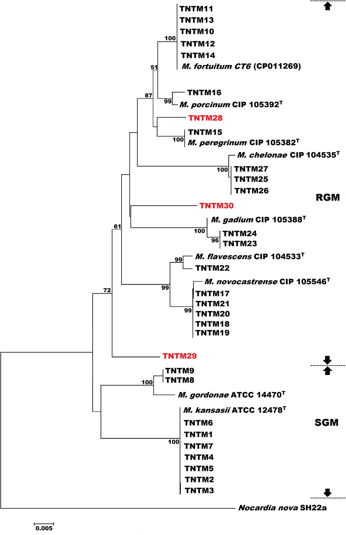 Fig. 4