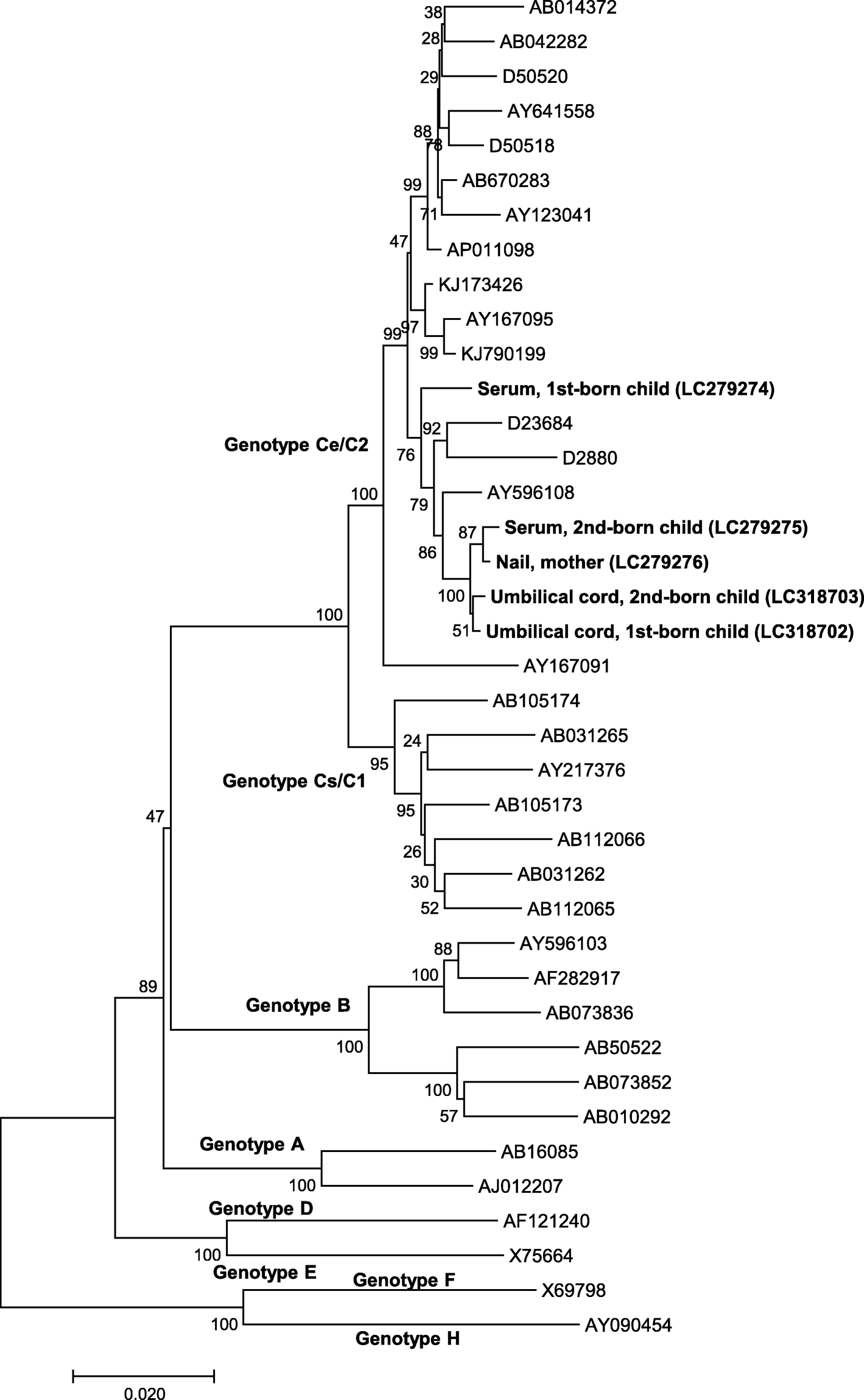 Fig. 2