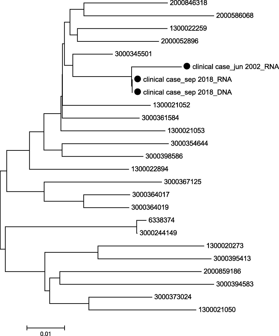 Fig. 2