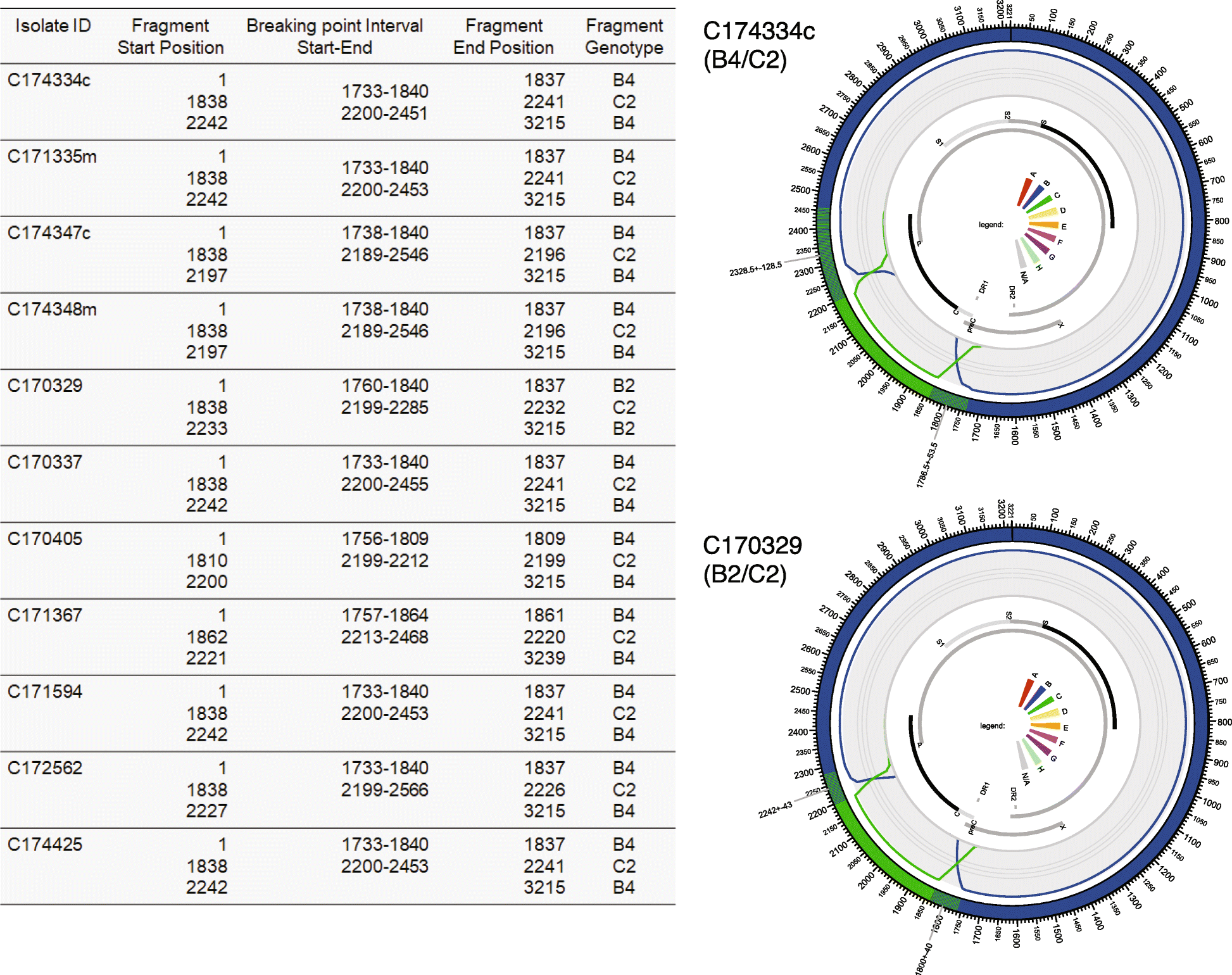 Fig. 3