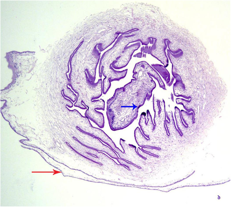 Fig. 3