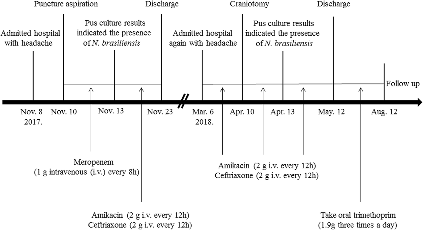 Fig. 5