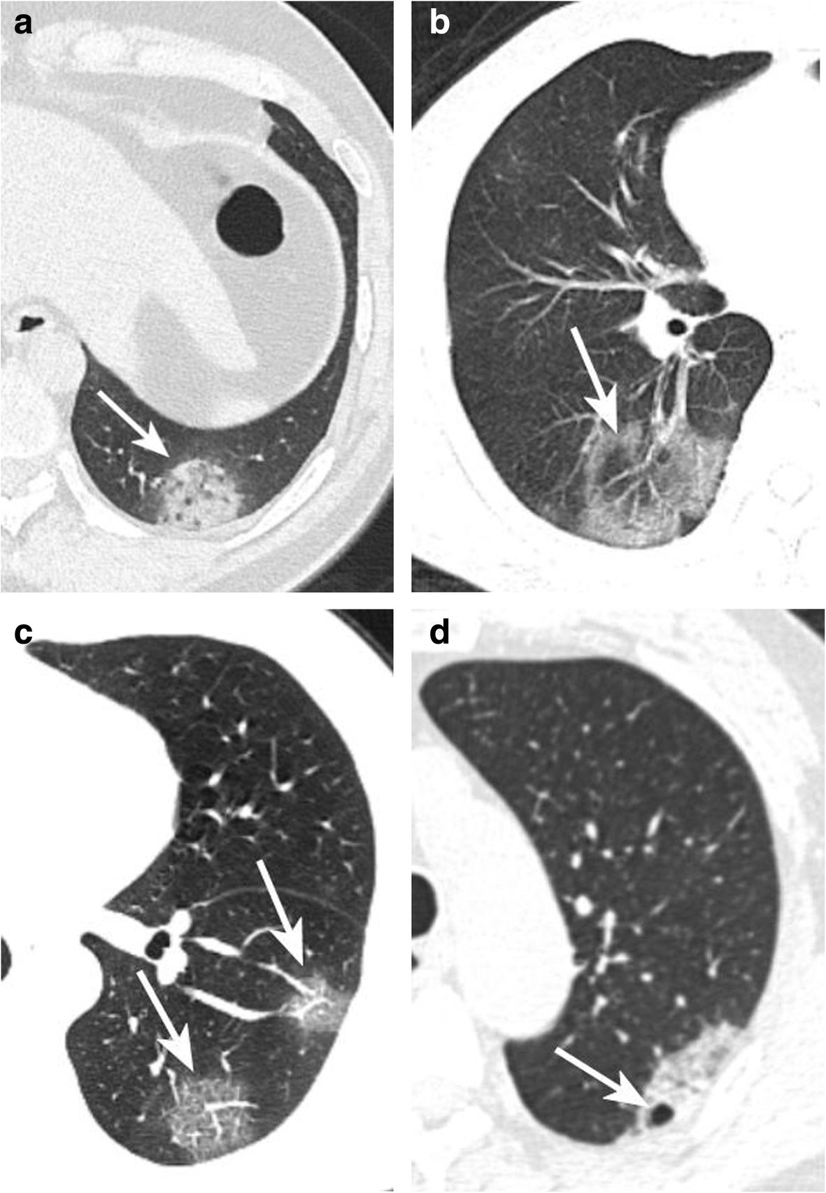 Fig. 5