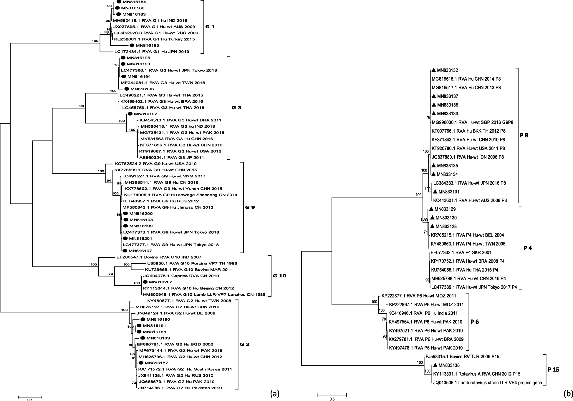 Fig. 4