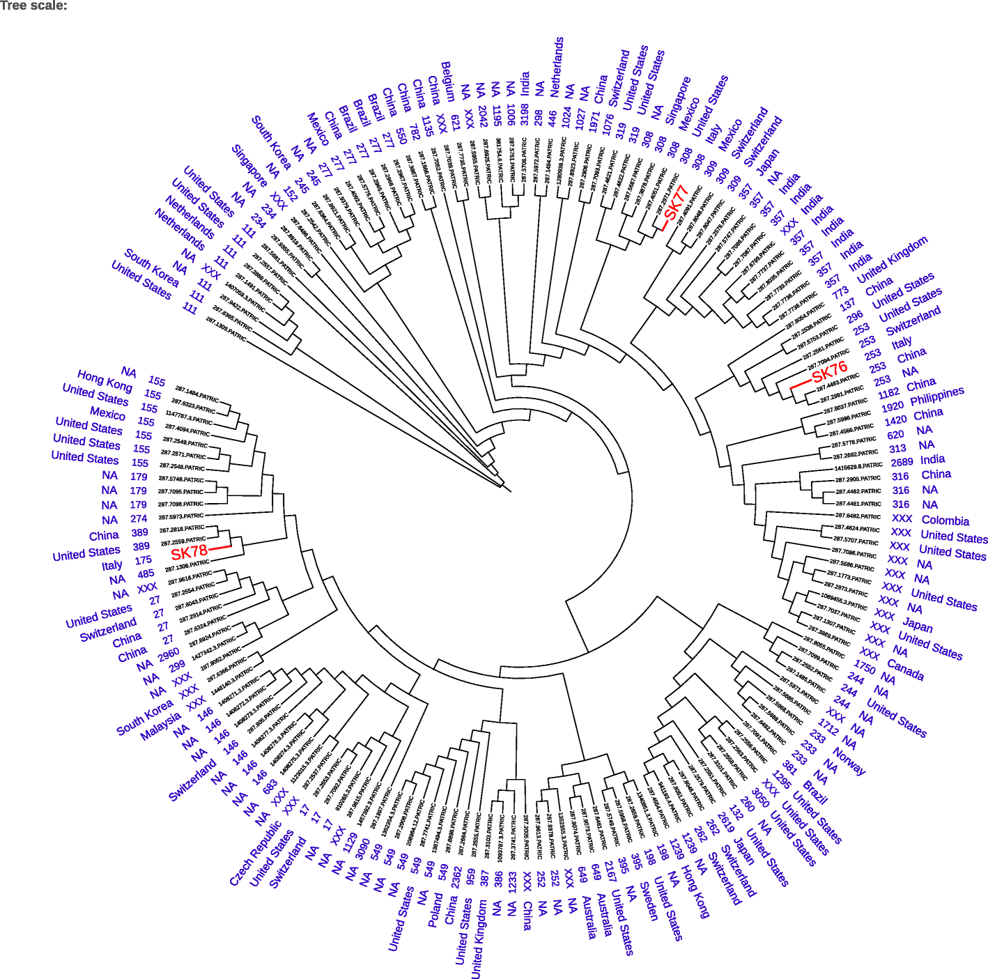 Fig. 2