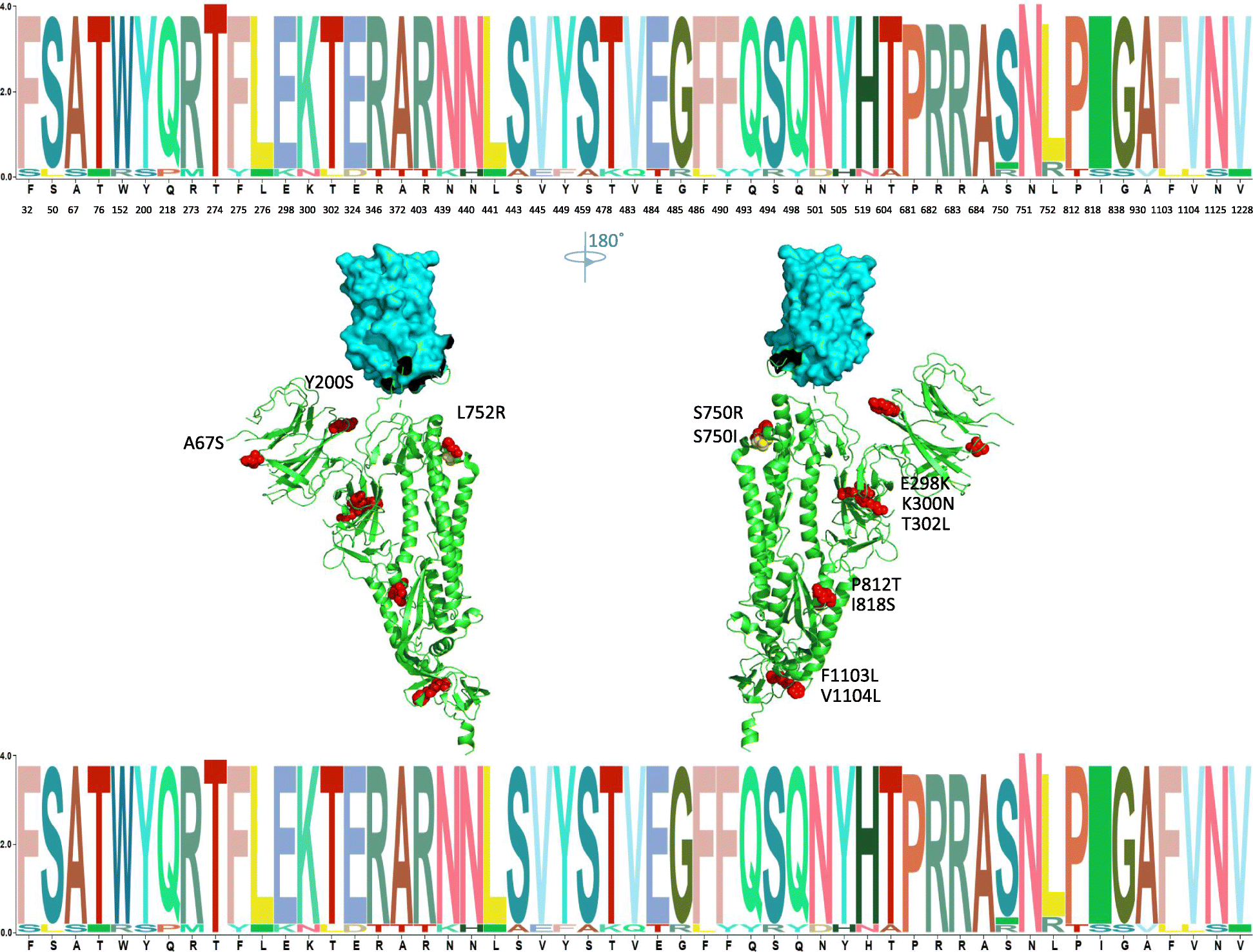 Fig. 2