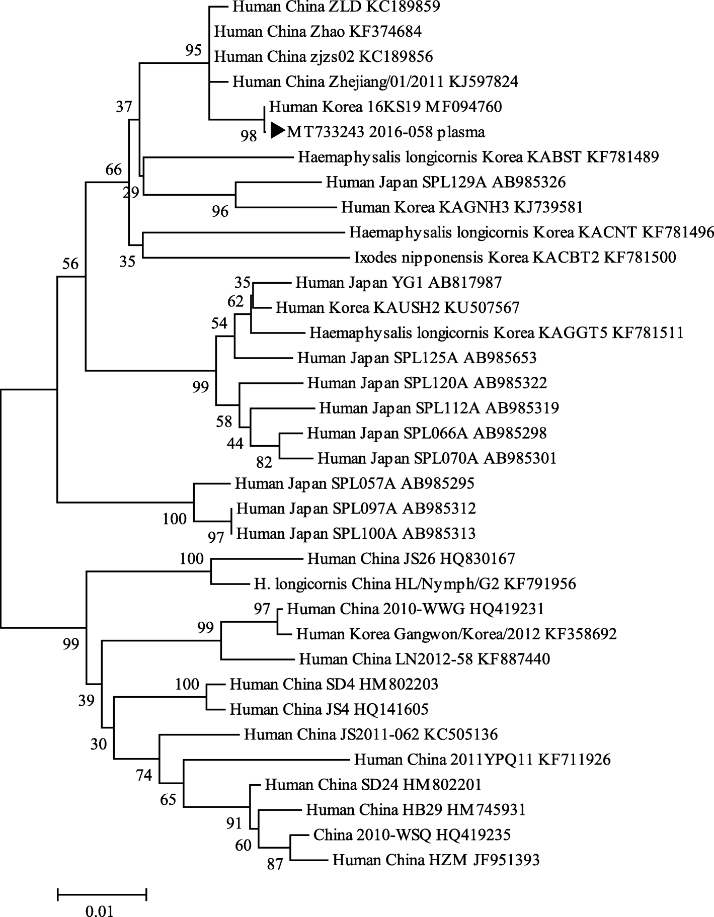 Fig. 1