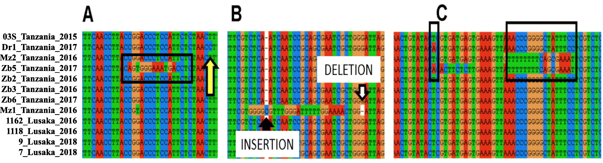 Fig. 4