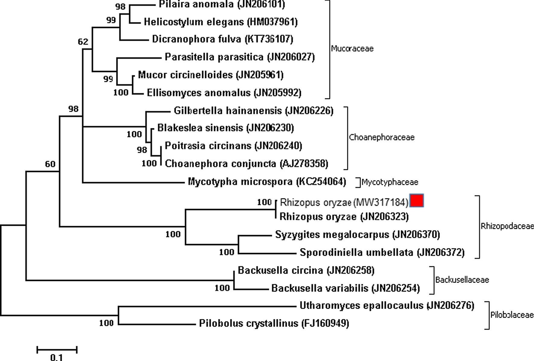 Fig. 4